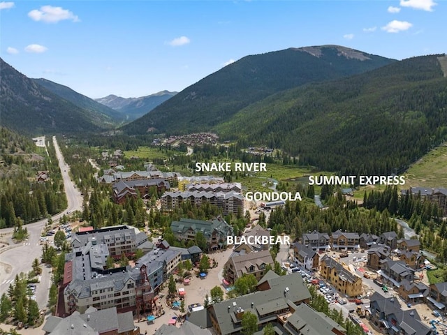 129 River Run Rd Unit 8040, Keystone, CO 80435 - view of mountain backdrop featuring a forest
