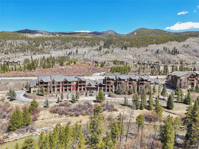 22714 US Highway 6 Unit 5941, Keystone, CO 80435 - view of mountain feature