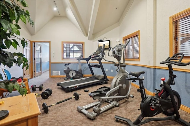 22714 US Highway 6 Unit 5941, Keystone, CO 80435 - workout area featuring carpet flooring, baseboards, vaulted ceiling, and visible vents