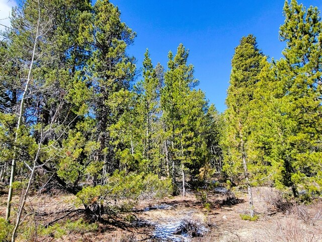162 Thickspike Rd, Fairplay, CO 80440 - photo 21