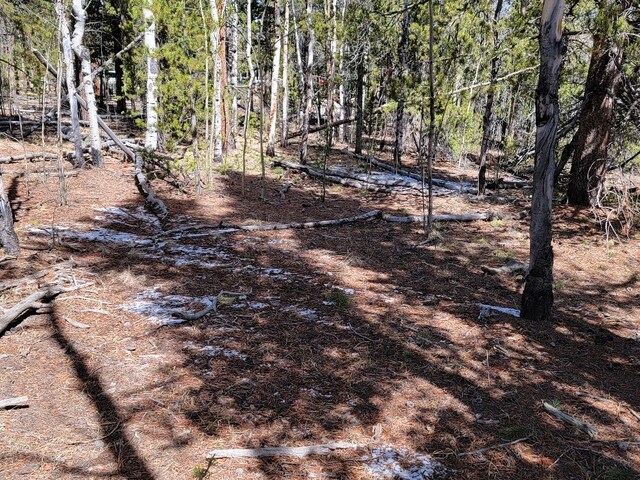 162 Thickspike Rd, Fairplay, CO 80440 - photo 37