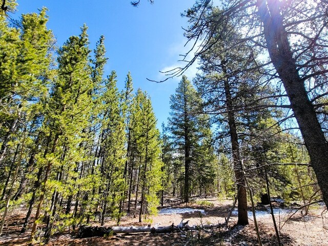 162 Thickspike Rd, Fairplay, CO 80440 - photo 32