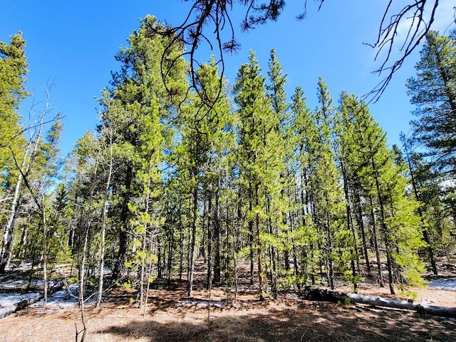 162 Thickspike Rd, Fairplay, CO 80440 - photo 31
