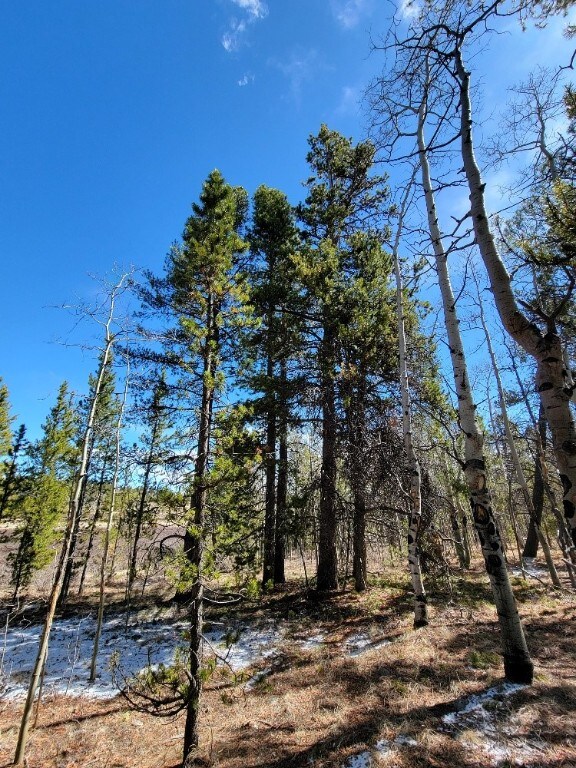 162 Thickspike Rd, Fairplay, CO 80440 - photo 39