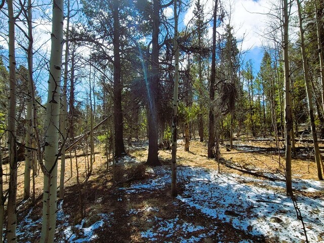 162 Thickspike Rd, Fairplay, CO 80440 - photo 15