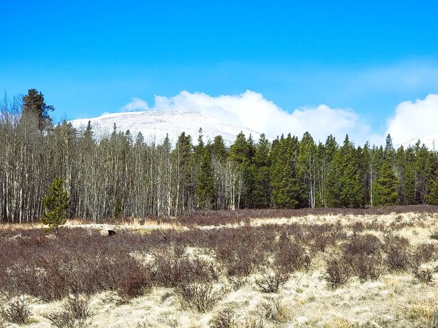 162 Thickspike Rd, Fairplay, CO 80440 - photo 4