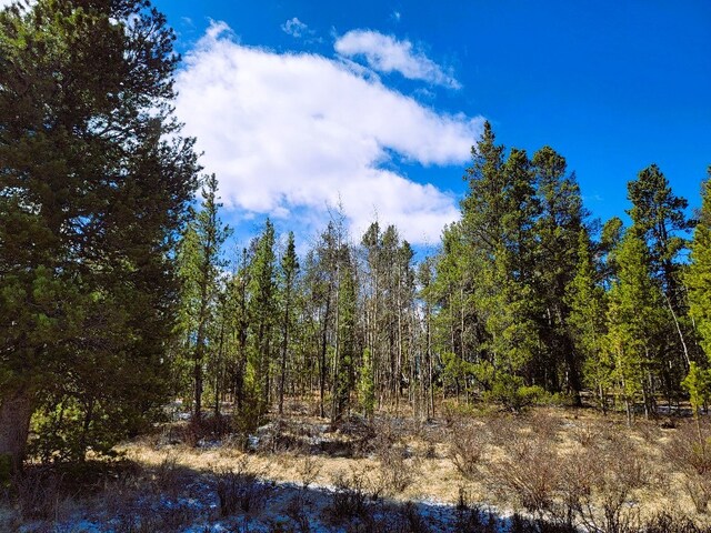 162 Thickspike Rd, Fairplay, CO 80440 - photo 8