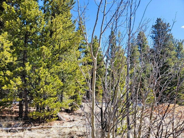 162 Thickspike Rd, Fairplay, CO 80440 - photo 25