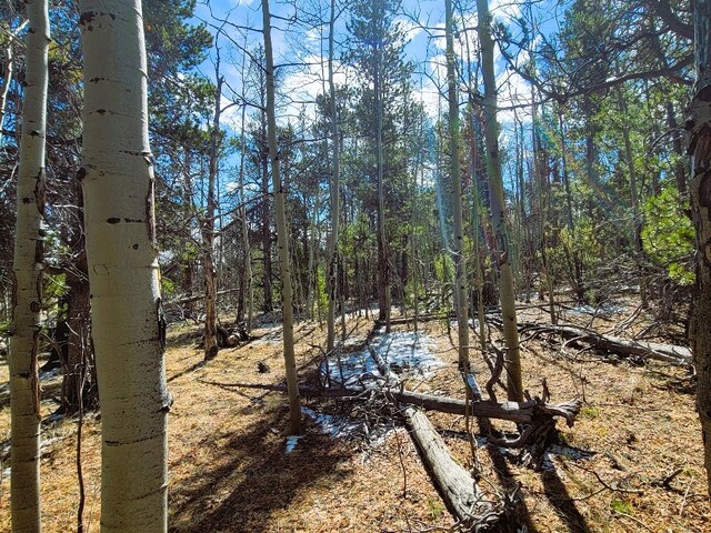 162 Thickspike Rd, Fairplay, CO 80440 - photo 18