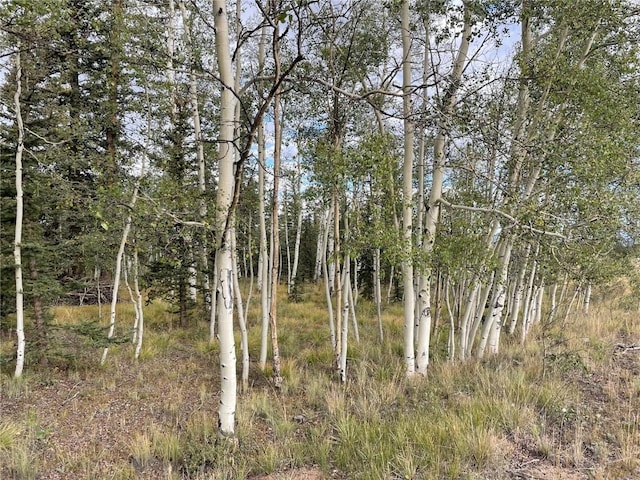 0 Kiowa St, Como, CO 80432