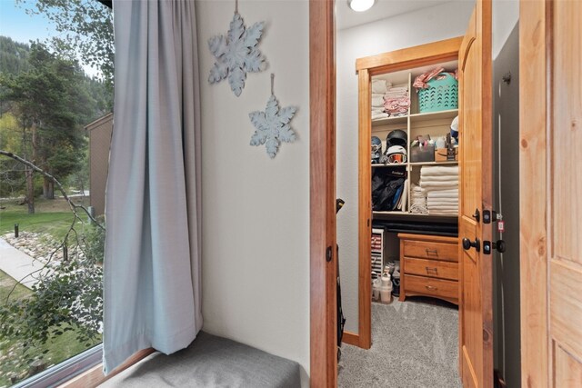 433 Wild Irishman Rd Unit 1039, Keystone, CO 80435 - walk in closet with carpet flooring