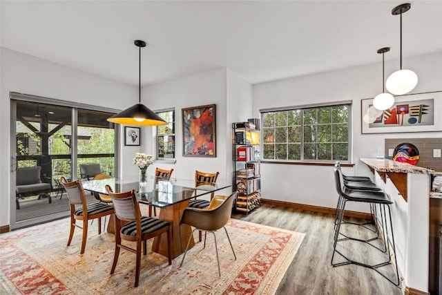 459 Willett Heights Ct, Steamboat Springs, CO 80487 - dining room featuring wood finished floors and baseboards