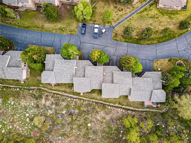 23177 Barbour Dr Unit 14, Keystone, CO 80435 - drone / aerial view