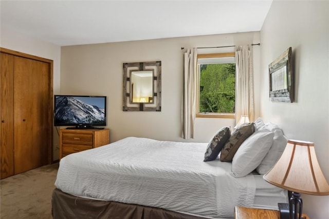 23177 Barbour Dr Unit 14, Keystone, CO 80435 - bedroom featuring carpet and a closet