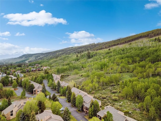 23177 Barbour Dr Unit 14, Keystone, CO 80435 - drone / aerial view of a heavily wooded area and mountains