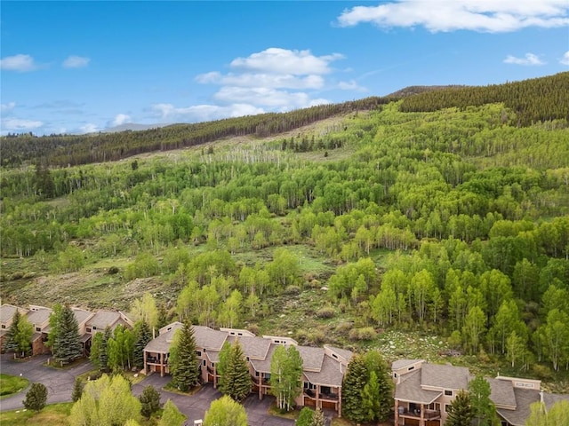 23177 Barbour Dr Unit 14, Keystone, CO 80435 - bird's eye view of a forest