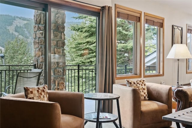 23177 Barbour Dr Unit 14, Keystone, CO 80435 - view of living area