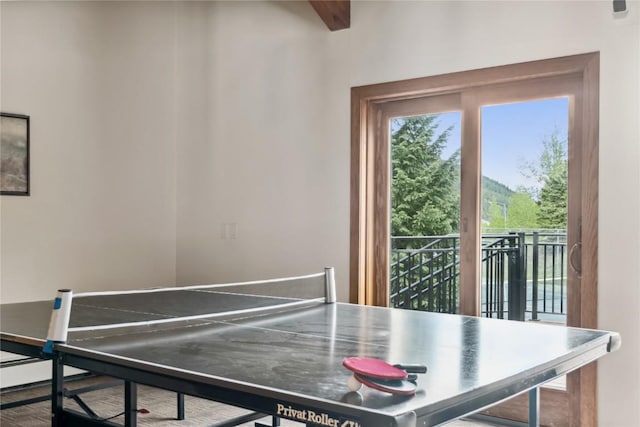 23177 Barbour Dr Unit 14, Keystone, CO 80435 - view of recreation room