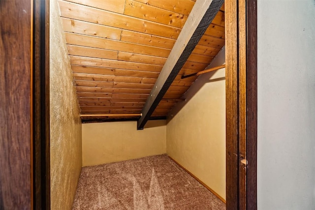 243 Lone Hand Way, Breckenridge, CO 80424 - walk in closet with carpet