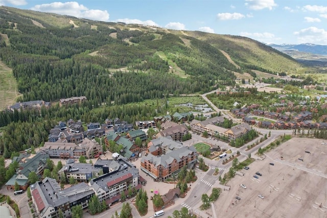 100 Dercum Sq Unit 8361, Keystone, CO 80435 - photo 39