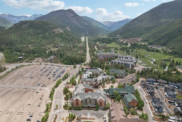 100 Dercum Sq Unit 8361, Keystone, CO 80435 - photo 43
