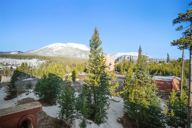91400 Ryan Gulch Rd Unit 91425, Silverthorne, CO 80498 - view of mountain background