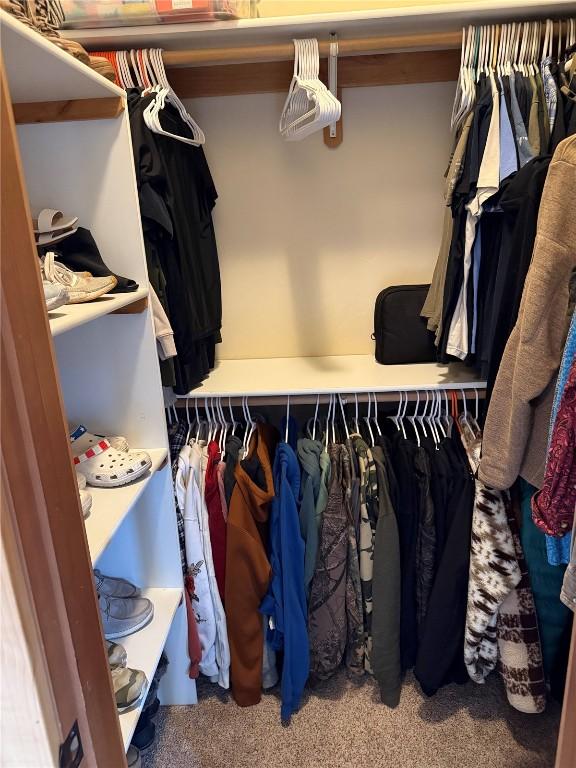 2379 Abbey Ct Unit 3, Steamboat Springs, CO 80487 - view of closet