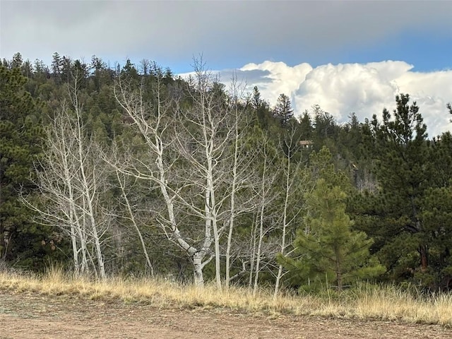287 Warclub Ct, Como, CO 80432 - photo 26