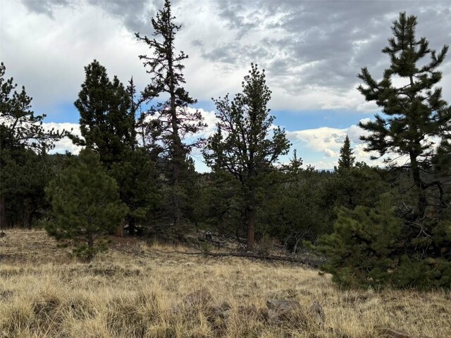 287 Warclub Ct, Como, CO 80432 - photo 19
