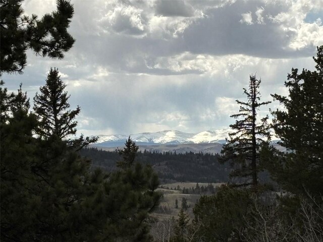 287 Warclub Ct, Como, CO 80432 - photo 4