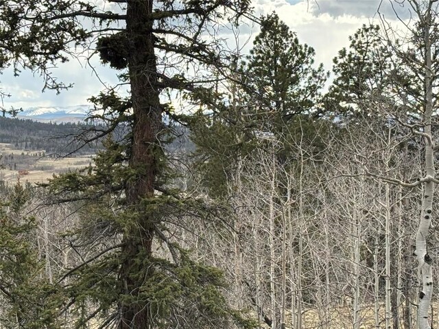 287 Warclub Ct, Como, CO 80432 - photo 5