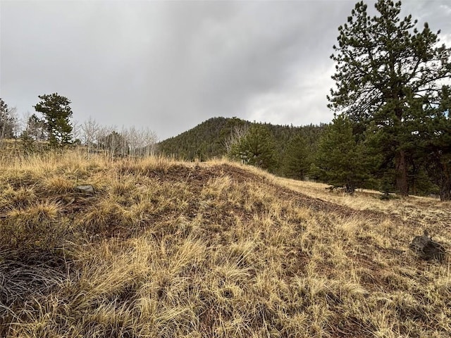 287 Warclub Ct, Como, CO 80432 - photo 25