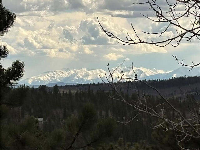 287 Warclub Ct, Como, CO 80432 - photo 2