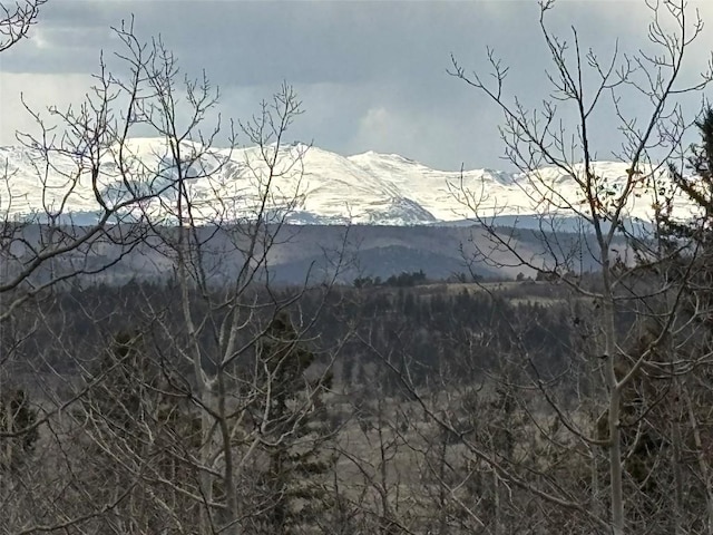 287 Warclub Ct, Como, CO 80432 - photo 1