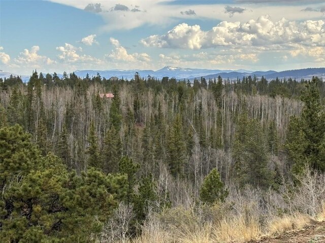 287 Warclub Ct, Como, CO 80432 - photo 12