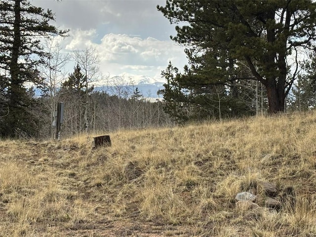 287 Warclub Ct, Como, CO 80432 - photo 11