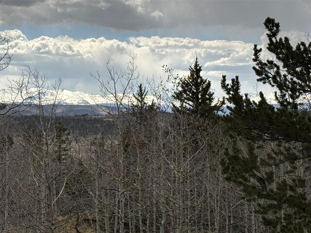287 Warclub Ct, Como, CO 80432 - photo 18