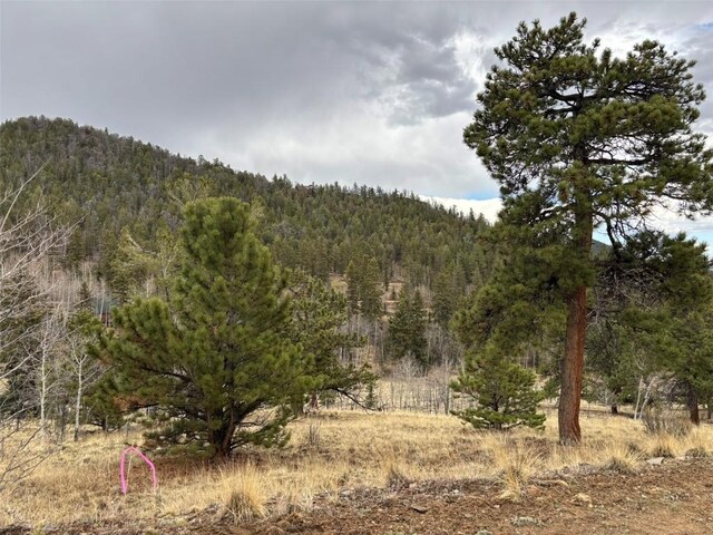 287 Warclub Ct, Como, CO 80432 - photo 13
