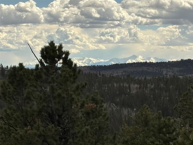 287 Warclub Ct, Como, CO 80432 - photo 21