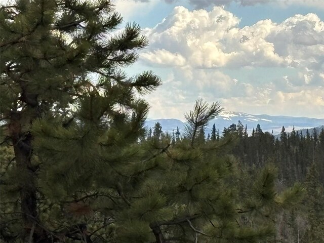 287 Warclub Ct, Como, CO 80432 - photo 6