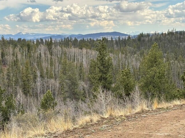 287 Warclub Ct, Como, CO 80432 - photo 34