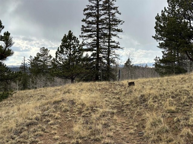 287 Warclub Ct, Como, CO 80432 - photo 24