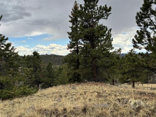 287 Warclub Ct, Como, CO 80432 - photo 23