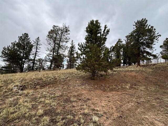 287 Warclub Ct, Como, CO 80432 - photo 32
