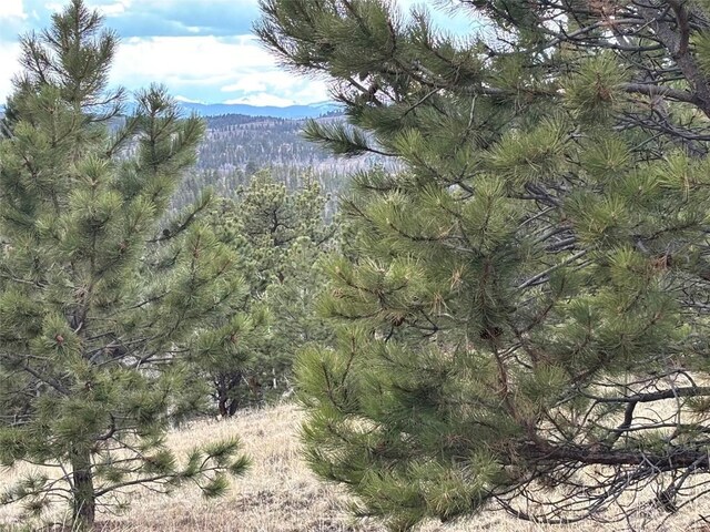 287 Warclub Ct, Como, CO 80432 - photo 10