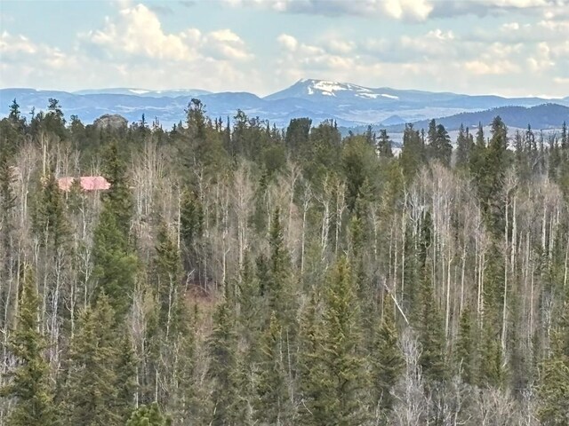 287 Warclub Ct, Como, CO 80432 - photo 31