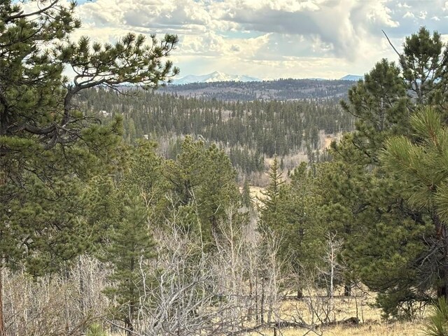 287 Warclub Ct, Como, CO 80432 - photo 8