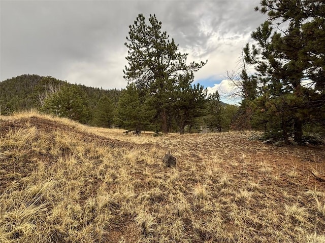 287 Warclub Ct, Como, CO 80432 - photo 20