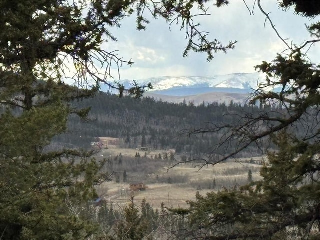 287 Warclub Ct, Como, CO 80432 - photo 3