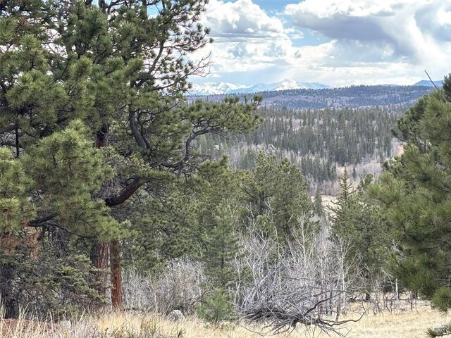 287 Warclub Ct, Como, CO 80432 - photo 27